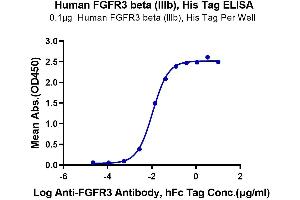 Immobilized Human FGFR3 beta (lllb) at 1 μg/mL (100 μL/Well) on the plate.