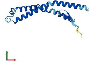 Protein Structure (PS) image for CTD Nuclear Envelope Phosphatase 1 Regulatory Subunit 1 (CNEP1R1) (AA 1-125) protein (His tag) (ABIN7549827)