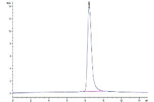 Size-exclusion chromatography-High Pressure Liquid Chromatography (SEC-HPLC) image for gamma Glutamyltransferase 1 (GGT1) (AA 27-569) protein (His tag) (ABIN7274744)
