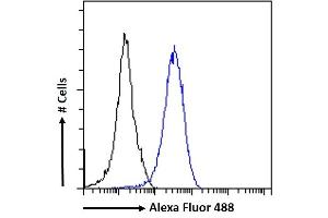 (ABIN184863) Flow cytometric analysis of paraformaldehyde fixed HeLa cells (blue line), permeabilized with 0. (RAD51AP1 抗体  (C-Term))
