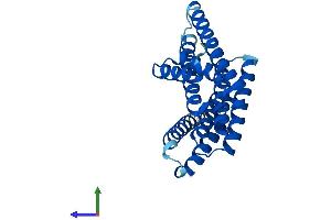 AlphaFold protein structure predicition of Human Recombinant YWHAB Protein, UniprotID P31946 (YWHAB Protein (AA 1-246) (His tag))