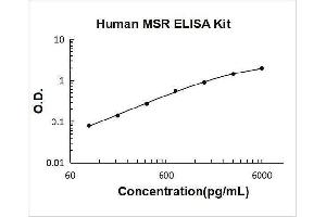 Macrophage Scavenger Receptor 1 (MSR1) ELISA Kit