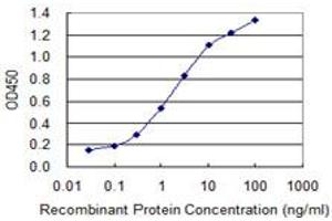Detection limit for recombinant GST tagged UBQLN1 is 0. (Ubiquilin 1 抗体  (AA 1-589))