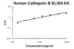 Human Cathepsin B PicoKine ELISA Kit standard curve (Cathepsin B ELISA 试剂盒)