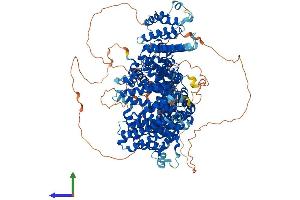 Protein Structure (PS) image for Stromal Antigen 1 (STAG1) (AA 1-1258) protein (His tag) (ABIN7555646)
