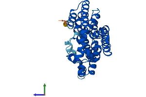Protein Structure (PS) image for Geranylgeranyl Diphosphate Synthase 1 (GGPS1) (AA 1-300) protein (His tag) (ABIN7556241)
