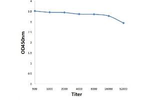 Antigen: 0. (RACGAP1 抗体  (pSer387))