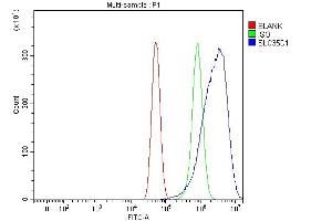 Flow Cytometry analysis of U87 cells using anti-SLC35D1 antibody (ABIN7599305).