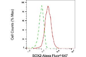 Flow cytometric analysis of SOX2 expression in HAP-1 cells using SOX2 antibody (ABIN7800431), 1:2,000).