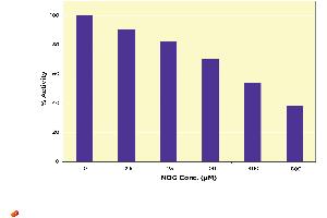 NOG Inhibition Data (Histone Demethylase Fluorescent Kit)