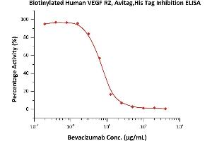 Immobilized Human VEGF165, Tag Free (Hied) (ABIN2181903,ABIN2693608,ABIN3071747) at 2 μg/mL (100 μL/well) can bind  increasing concentrations of Bevacizumab and 0. (VEGFR2/CD309 Protein (AA 20-764) (His tag,AVI tag,Biotin))
