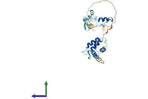 Protein Structure (PS) image for CUE Domain Containing 2 (CUEDC2) (AA 1-287) protein (His tag) (ABIN7546784)