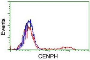 HEK293T cells transfected with either RC204531 overexpress plasmid (Red) or empty vector control plasmid (Blue) were immunostained by anti-CENPH antibody (ABIN2455280), and then analyzed by flow cytometry. (CENPH 抗体)