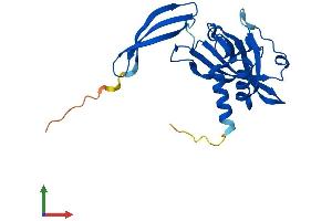 Protein Structure (PS) image for Nudix (Nucleoside Diphosphate Linked Moiety X)-Type Motif 5 (NUDT5) (AA 1-218) protein (His tag) (ABIN7561655)