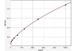 Vascular Endothelial Growth Factor B (VEGFB) ELISA Kit
