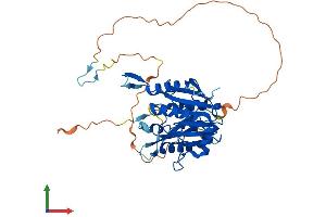 Protein Structure (PS) image for Methyltransferase Like 22 (METTL22) (AA 1-393) protein (His tag) (ABIN7559662)