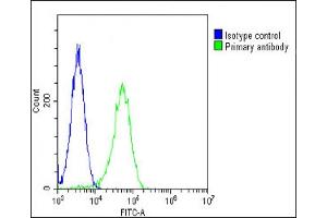 Overlay histogram showing Hela cells stained with (ABIN6243676 and ABIN6578760)(green line). (PGAP1 抗体  (AA 90-122))