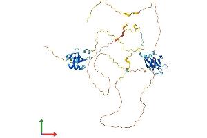 AlphaFold protein structure predicition of Mouse Recombinant Dcdc2 Protein, UniprotID Q5DU00