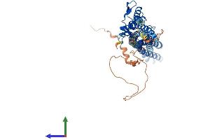 Protein Structure (PS) image for Tweety Homolog 3 (TTYH3) (AA 1-524) protein (His tag) (ABIN7557997)