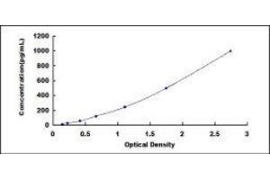 TNF Receptor-Associated Factor 3 (TRAF3) ELISA Kit