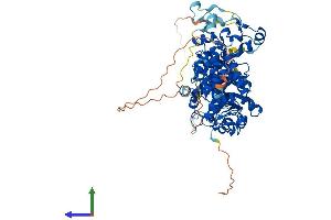 Protein Structure (PS) image for Dihydrouridine Synthase 3-Like (DUS3L) (AA 1-637) protein (His tag) (ABIN7560092)