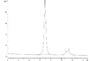 The purity of Human Siglec-9 is greater than 95 % as determined by SEC-HPLC. (SIGLEC9 Protein (AA 18-348) (His-Avi Tag))