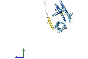 AlphaFold protein structure predicition of Mouse Recombinant Catsper3 Protein, UniprotID Q80W99