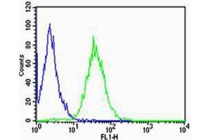 Flow cytometric analysis of Raji cells using CD74(green, Cat(ABIN1944838 and ABIN2838498)) compared to an isotype control of mouse IgG2b(blue). (CD74 抗体  (AA 1-232))
