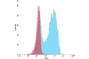 Flow Cytometry (FACS) image for G Protein-Coupled Receptor, Family C, Group 5, Member D (GPRC5D) protein (mFc Tag,PE) (ABIN7455595)