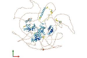 AlphaFold protein structure predicition of Mouse Recombinant Adnp Protein, UniprotID Q9Z103