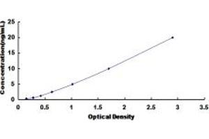 Typical standard curve (B4GALNT2 ELISA 试剂盒)