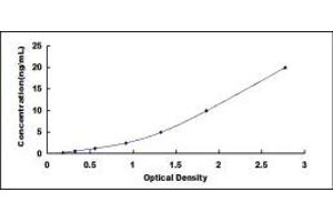 Typical standard curve (CACNA1E ELISA 试剂盒)