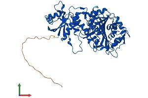 Protein Structure (PS) image for Cytosol Aminopeptidase (LAP3) (AA 1-519) protein (His tag) (ABIN7552211)