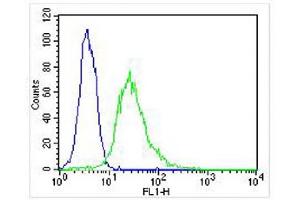 Overlay histogram showing Hela cells stained with (ABIN6243771 and ABIN6577109) (green line). (EEF1E1 抗体)