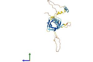 AlphaFold protein structure predicition of Human Recombinant NRIP2 Protein, UniprotID Q9BQI9