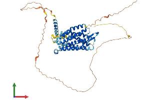 AlphaFold protein structure predicition of Human Recombinant GPR152 Protein, UniprotID Q8TDT2