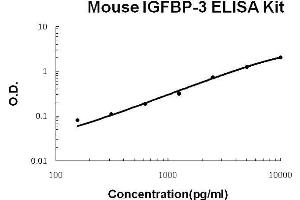 Mouse IGFBP-3 PicoKine ELISA Kit standard curve
