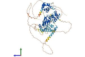 Protein Structure (PS) image for SATB Homeobox 2 (SATB2) (AA 1-733) protein (His tag) (ABIN7564768)