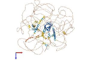 AlphaFold protein structure predicition of Mouse Recombinant Cep170b Protein, UniprotID Q80U49