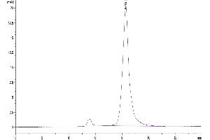Size-exclusion chromatography-High Pressure Liquid Chromatography (SEC-HPLC) image for BMP and Activin Membrane-Bound Inhibitor Homolog (BAMBI) (AA 27-152) protein (Fc Tag) (ABIN7273919)