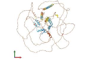 Protein Structure (PS) image for Zinc Finger Protein 148 (ZNF148) (AA 1-794) protein (His tag) (ABIN7556117)