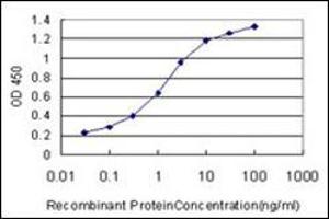 ELISA image for anti-Oculocerebrorenal Syndrome of Lowe (OCRL) (AA 146-240) antibody (ABIN782420) (OCRL 抗体  (AA 146-240))