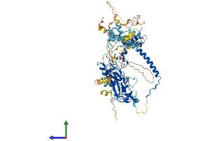 AlphaFold protein structure predicition of Mouse Recombinant Ezh1 Protein, UniprotID P70351