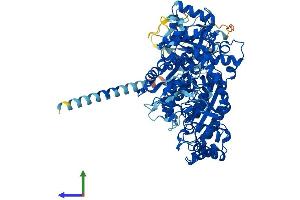 Protein Structure (PS) image for N-Deacetylase/N-Sulfotransferase (Heparan Glucosaminyl) 3 (NDST3) (AA 1-873) protein (His tag) (ABIN7554678)