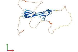 AlphaFold protein structure predicition of Human Recombinant IGSF5 Protein, UniprotID Q9NSI5