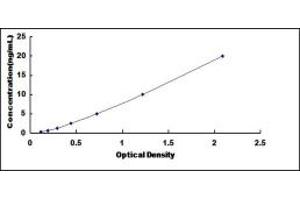 Typical standard curve (PKN1 ELISA 试剂盒)