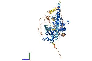 Protein Structure (PS) image for serine/threonine Kinase 4 (STK4) (AA 1-487) protein (His tag) (ABIN7565080)