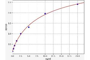 Typical standard curve (TYK2 ELISA 试剂盒)