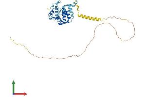 Protein Structure (PS) image for PRP38 Pre-mRNA Processing Factor 38 (Yeast) Domain Containing A (PRPF38A) (AA 1-312) protein (His tag) (ABIN7557377)