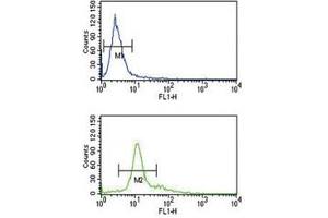 Image no. 4 for anti-Proprotein Convertase Subtilisin/kexin Type 2 (PCSK2) (AA 318-346) antibody (ABIN3032333)